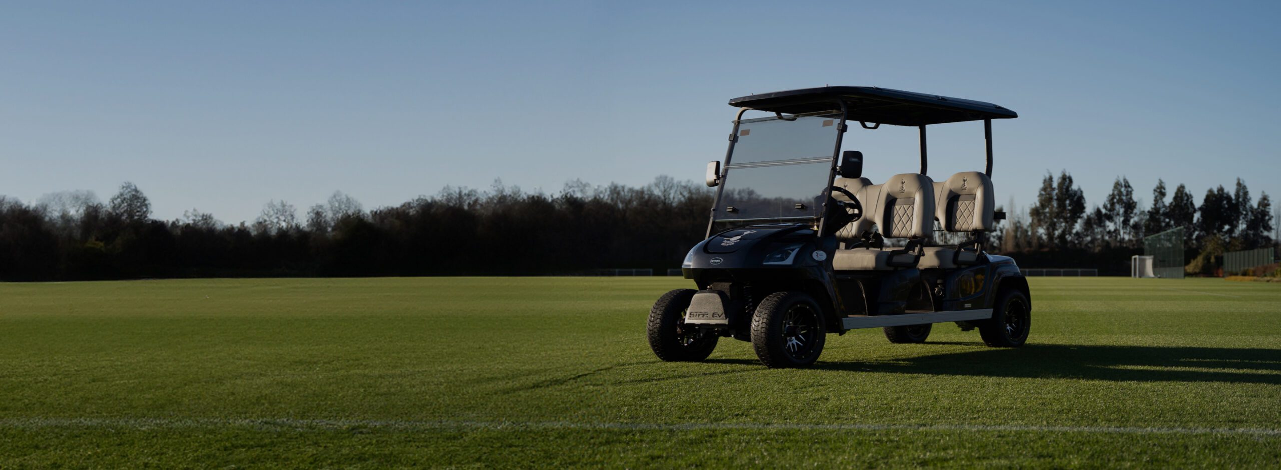 Passenger Buggies
